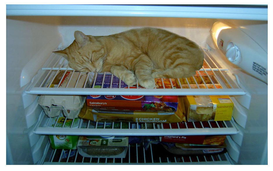 Что нельзя хранить в холодильнике? 